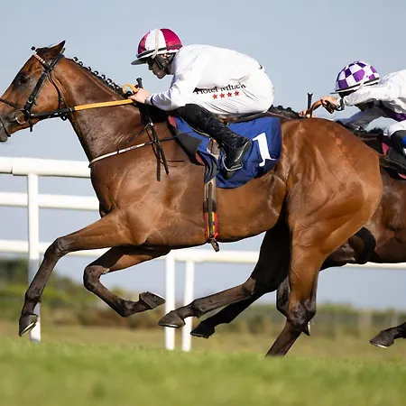 Minella & Leisure Centre 4* Clonmel