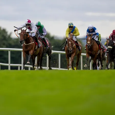Minella & Leisure Centre 4* Clonmel