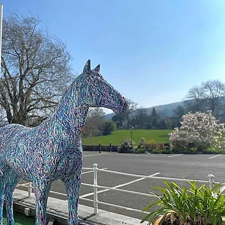 Minella & Leisure Centre 4*