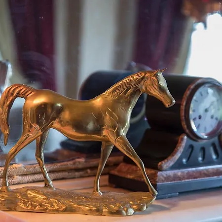 Otel Minella & Leisure Centre 4*