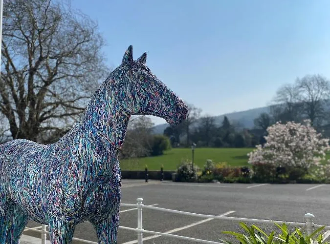 Minella & Leisure Centre Hotell