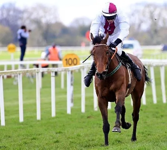 Minella & Leisure Centre Hotel Clonmel