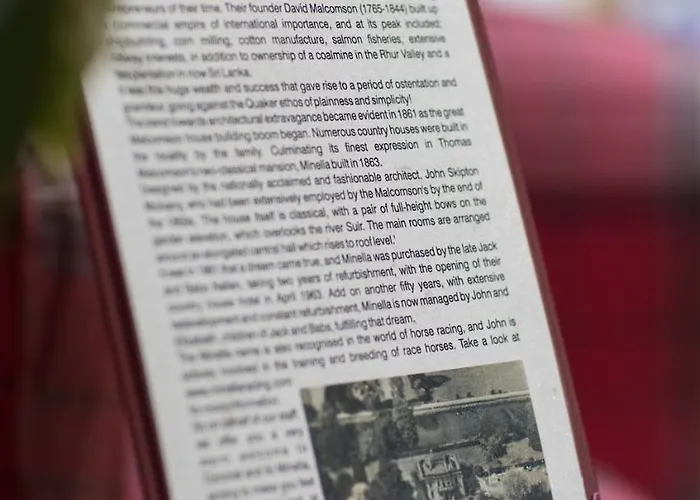 Minella & Leisure Centre 4* Клонмел