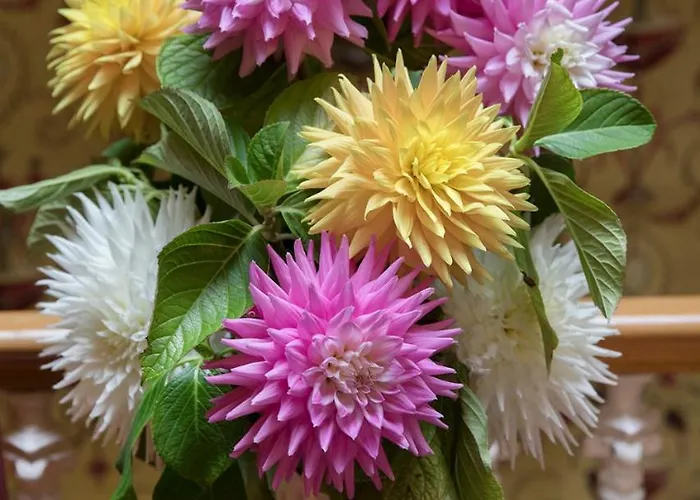 Otel Minella & Leisure Centre 4*