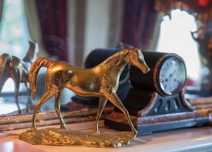 Отель Minella & Leisure Centre 4*